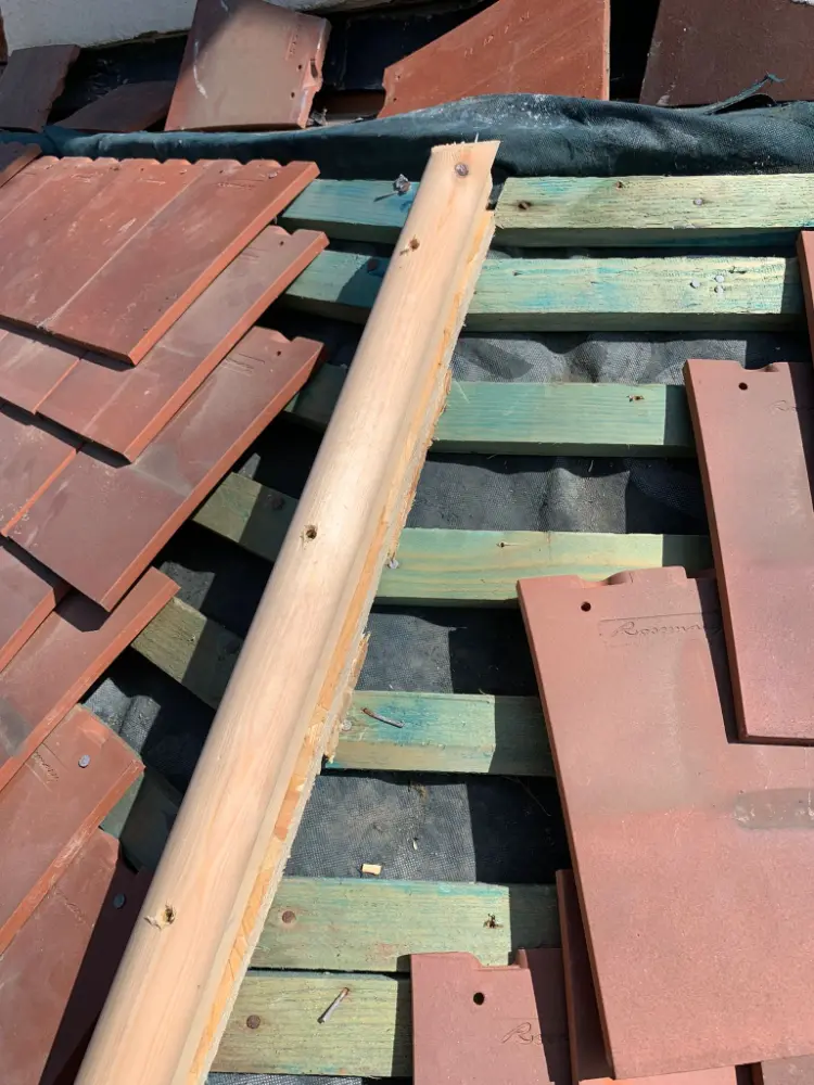 Mop roll lead works in Monkspath, Solihull 10 Mop roll lead works in Monkspath, Solihull