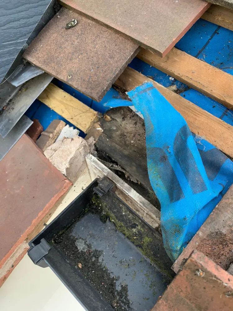 Mop roll lead works in Monkspath, Solihull 16 Mop roll lead works in Monkspath, Solihull