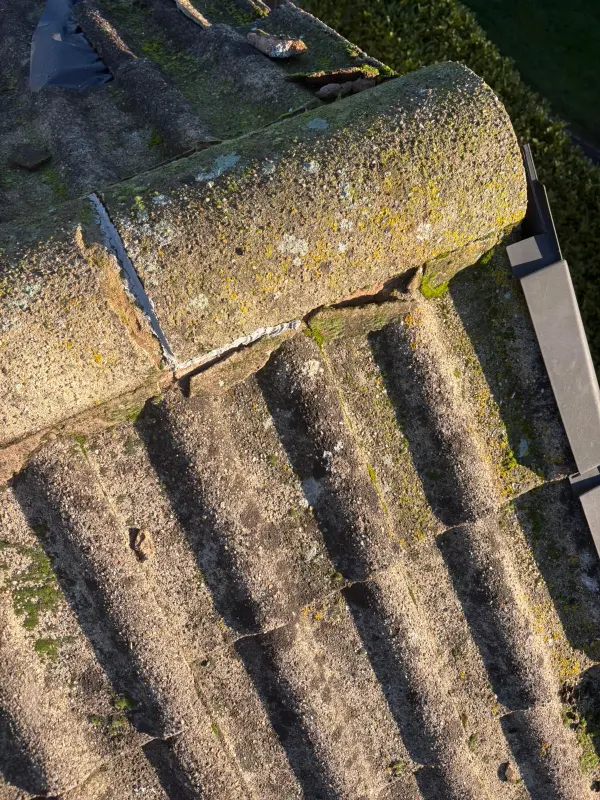 Residential Roof Replacement and Repairs – Birmingham 13 Residential Roof Replacement and Repairs – Birmingham