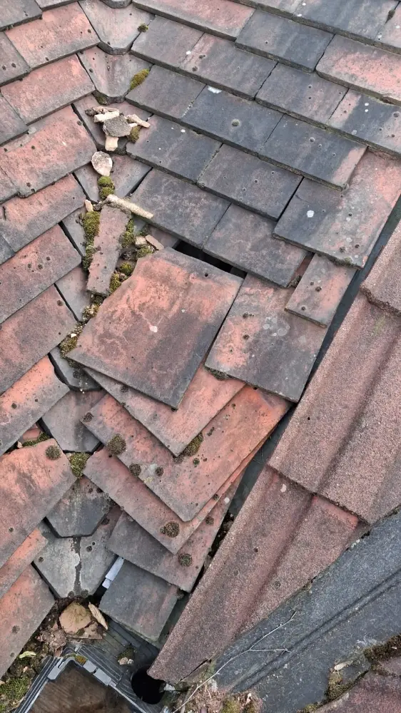 Roofing and Home Repairs to Support Independent Living 6 variety of jobs 06